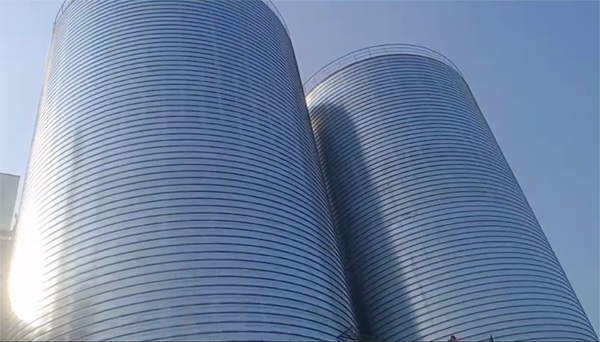 石河子乡2座混凝土高架卷板仓